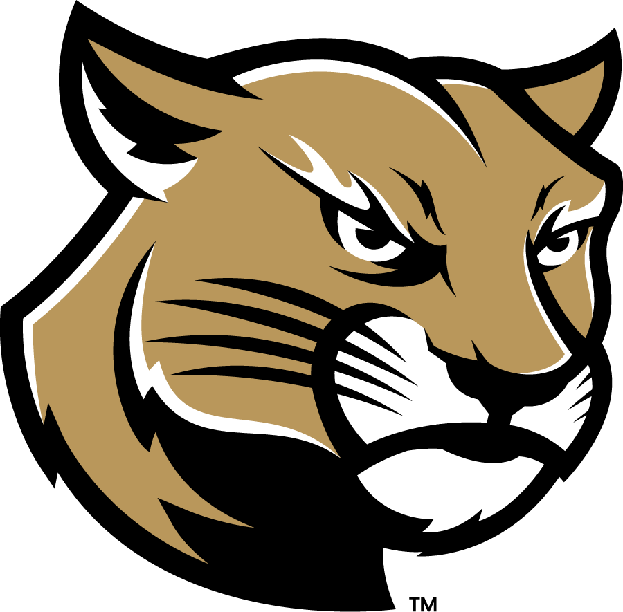 SIU Edwardsville Cougars 2023-Pres Alternate Logo v4 diy iron on heat transfer